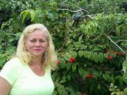 Restaurante Açai Com Jabá