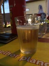 Serv Festa Universitário