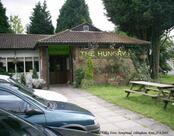 The Hungry Fox