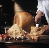 Salsamenteria verdiana