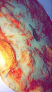 Caffetteria Tavola Calda