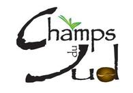 Champs du Sud