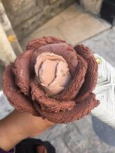 Amorino Gelato - Vieux Lyon