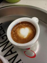 Cavalletti dal 1951 - Morelli