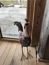 Naturpark Marktscheune