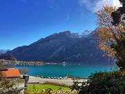 Hotel-Restaurant Steinbock