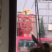 Ristorante All i Oli