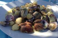 Ristorante Albachiara