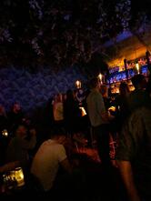 Journey into the Night