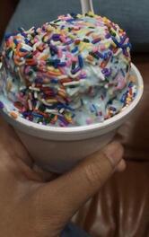 Van Dyk's Homemade Ice Cream