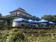 Café at the Botanical Garden