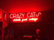 Crazy Cats