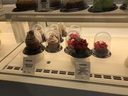 Christophe Michalak - Saint-Germain des Prés