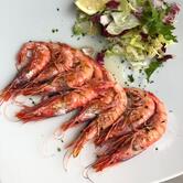 Il Maestro del Brodo da Bartolo & Sons Ristorante Tipico Siciliano