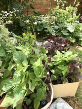 Le Palais De Savigny