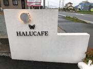 HALUCAFE