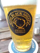 The Black Sheep Craft Pub