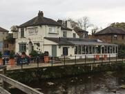 The Water Rat