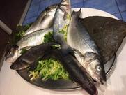 Ristorante Reginella