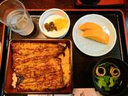 うなぎ割烹 康川 雄踏店