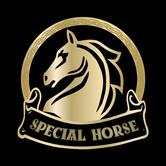 Special Horse Irish Pub