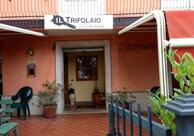 Il Trifolaio