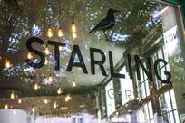 Starling Burgers