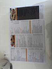 Allô mon Coco Repentigny