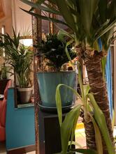 La Brasserie Parisienne