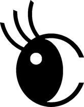 Le Café Boutique Rochefort