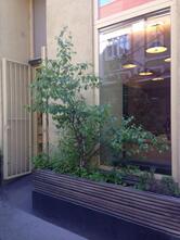 Bäckerei Café Felzl