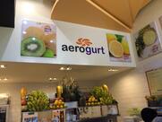 Aerogurt