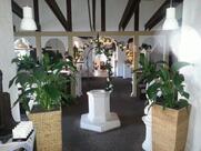 Restaurant Akropolis