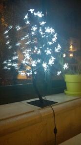 L'Orée d'Opio - Cuisine au Feu de Bois