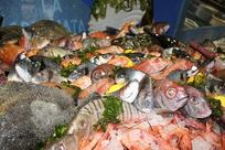 Ristorante Alba La Grigliata