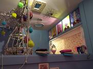 Mamie Bigoude Tours Nord