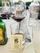 Dammi il 5 griglieria