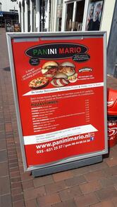 Panini Mario