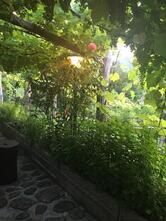 Ristorante La Casina