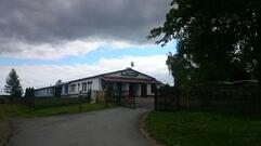 Falkenblick