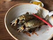 魚信