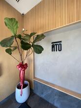 ATO Japanese Restaurant