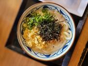 Marugame Udon