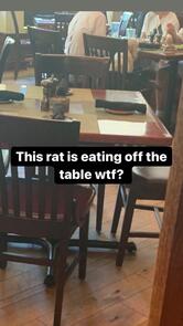 Winberie's Restaurant & Bar