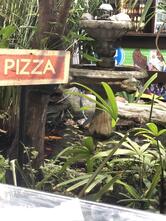 Restaurante Parmegianno