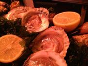 Coquillages du Roy René