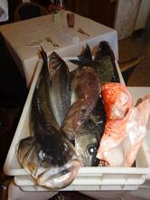 Ristorante Campiello