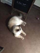 Canyon, café fleurs