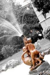 Ilario Vinciguerra Restaurant