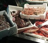 Al Povero Pesce